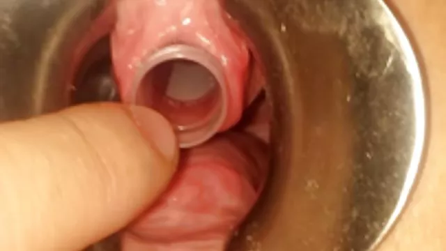 Bedava porno hiçbir kayıt Üç yüz sarışın sex otuz üç